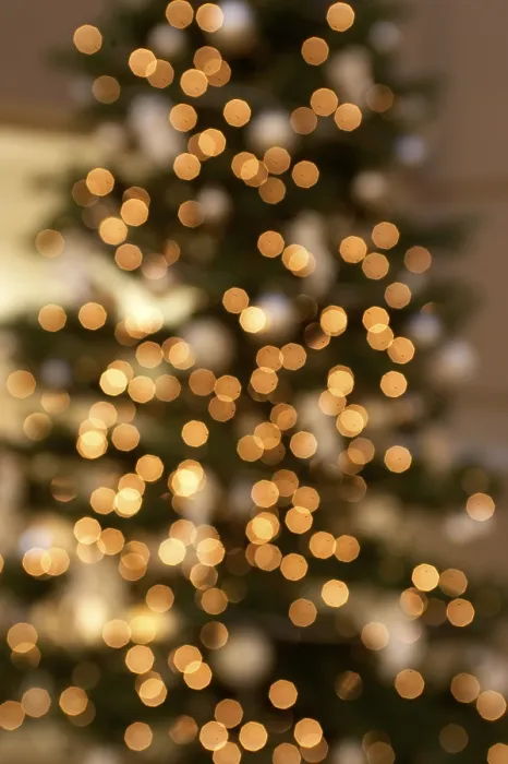 Gerahmter Druck : Weihnachtsbaum Gerahmter Druck : Weihnachtsbaum