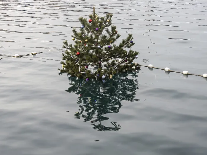Gerahmter Druck : Weihnachtsbaum im Hafenbecken Gerahmter Druck : Weihnachtsbaum im Hafenbecken