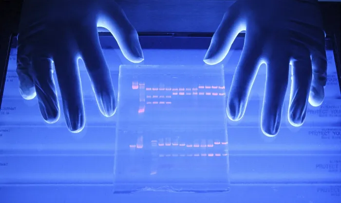 Gerahmter Druck : Die Chromatographie wird mit UV-Licht beleuchtet. Gerahmter Druck : Die Chromatographie wird mit UV-Licht beleuchtet.