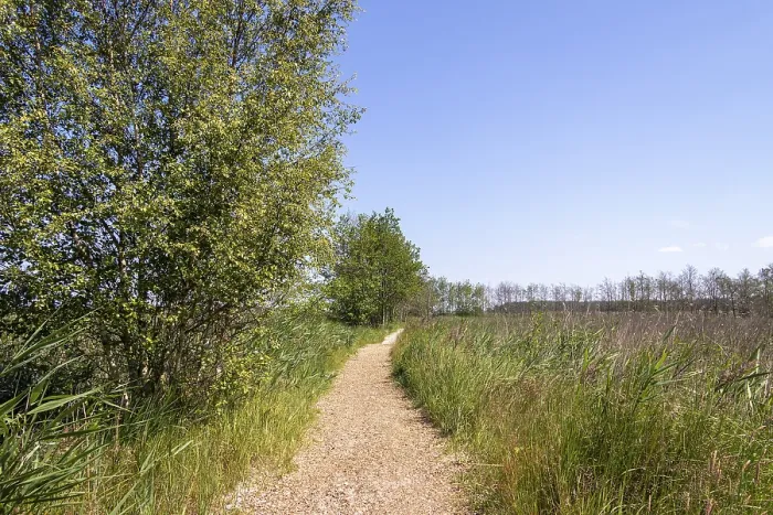 Gerahmter Druck : Rundwanderweg, Bäume, Gras. Gerahmter Druck : Rundwanderweg, Bäume, Gras.
