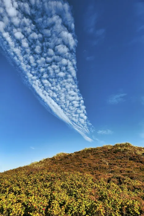 Gerahmter Druck : Cirrocumulus, blauer Himmel über einer Düne. Gerahmter Druck : Cirrocumulus, blauer Himmel über einer Düne.