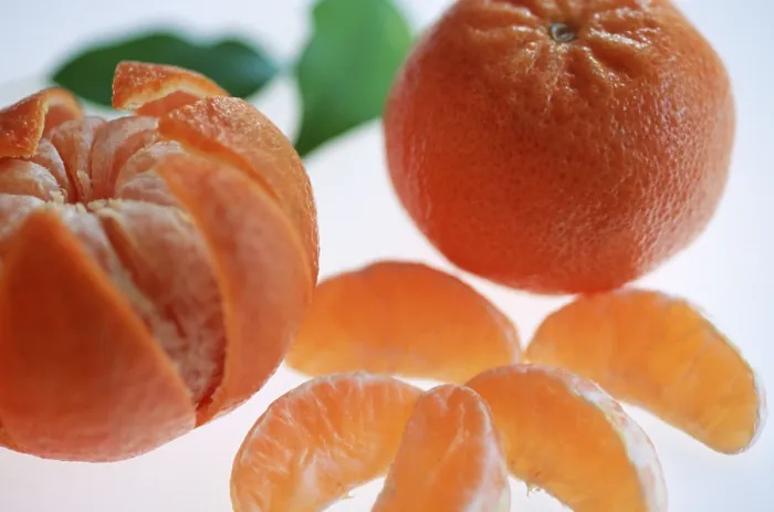 Gerahmter Druck : Zitronen (Citrus spec.) Gerahmter Druck : Zitronen (Citrus spec.)