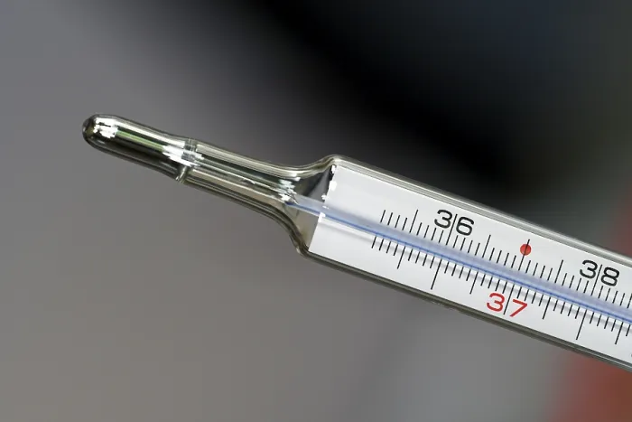 Gerahmter Druck : Klinischer Thermometer Gerahmter Druck : Klinischer Thermometer