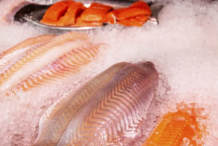 Gerahmter Druck : Ein Nahansicht eines Fischzählers. Gerahmter Druck : Ein Nahansicht eines Fischzählers.