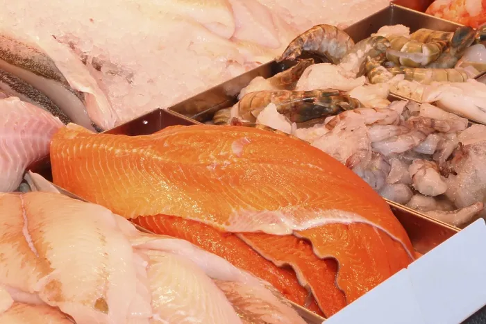 Gerahmter Druck : Fischzähler in der Nähe Gerahmter Druck : Fischzähler in der Nähe
