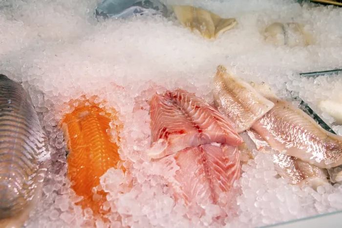 Gerahmter Druck : Fischzähler aus der Nähe Gerahmter Druck : Fischzähler aus der Nähe