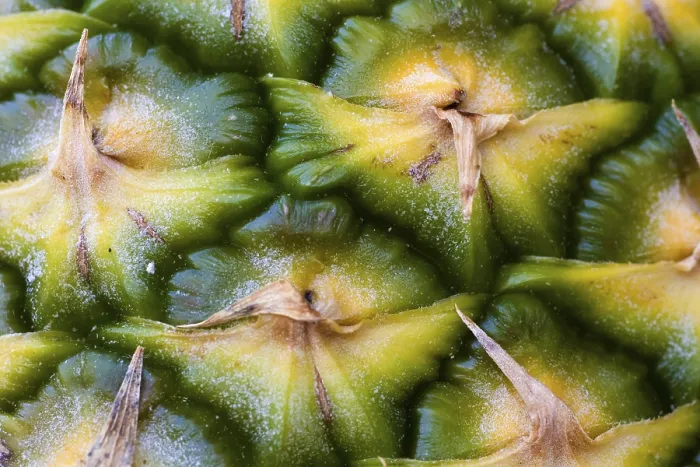 Gerahmter Druck : Nahaufnahme einer Ananas. Gerahmter Druck : Nahaufnahme einer Ananas.