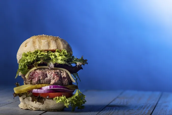 Gerahmter Druck : Nahansicht eines einzelnen Cheeseburgers. Gerahmter Druck : Nahansicht eines einzelnen Cheeseburgers.