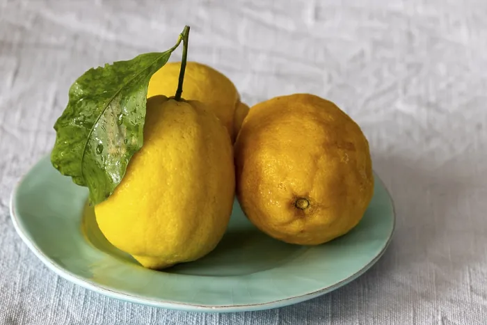 Gerahmter Druck : Nahaufnahme eines Amalfi-Lemons. Gerahmter Druck : Nahaufnahme eines Amalfi-Lemons.