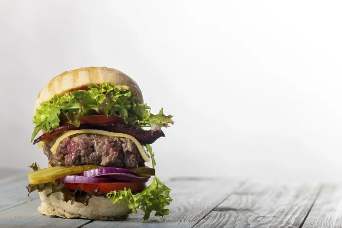 Gerahmter Druck : Nahansicht eines einzelnen Cheeseburgers. Gerahmter Druck : Nahansicht eines einzelnen Cheeseburgers.