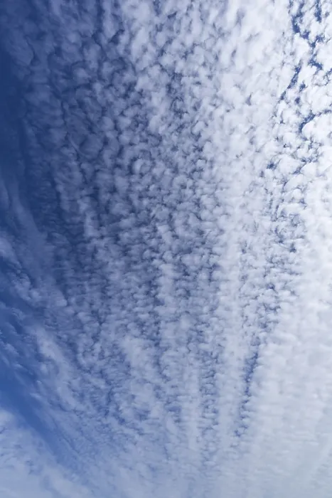 Gerahmter Druck : Wolkenbedeckung (Altocumulus), Deutschland Gerahmter Druck : Wolkenbedeckung (Altocumulus), Deutschland