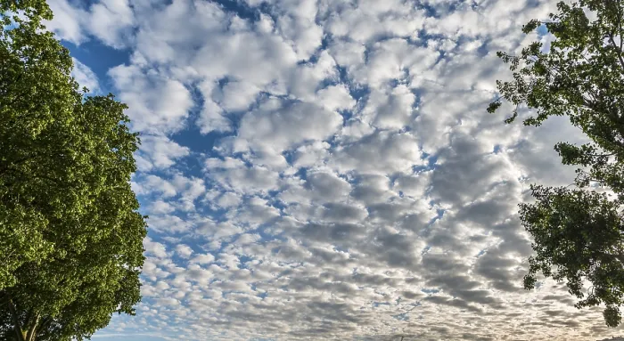 Gerahmter Druck : Wolkenbedeckung, blauer Himmel. Gerahmter Druck : Wolkenbedeckung, blauer Himmel.