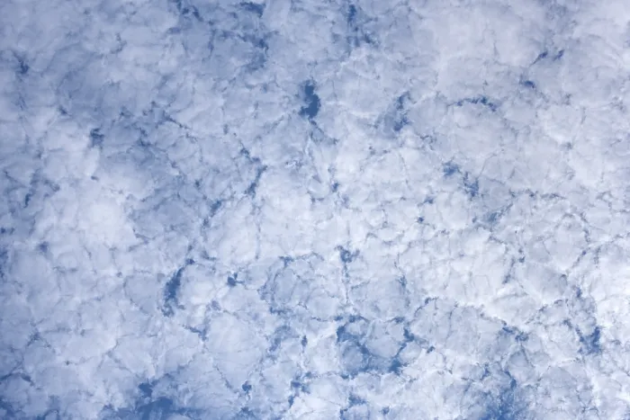 Gerahmter Druck : Wolkenbildung, Altocumulus floccus. Gerahmter Druck : Wolkenbildung, Altocumulus floccus.