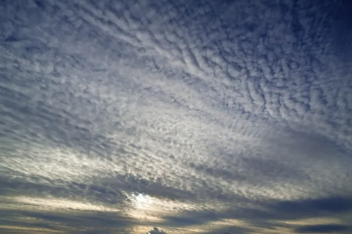 Gerahmter Druck : Wolkenbildung, Altocumulus translucidus Gerahmter Druck : Wolkenbildung, Altocumulus translucidus