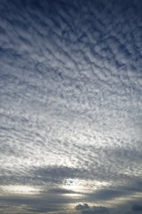 Gerahmter Druck : Wolkenbildung, Altocumulus translucidus. Gerahmter Druck : Wolkenbildung, Altocumulus translucidus.