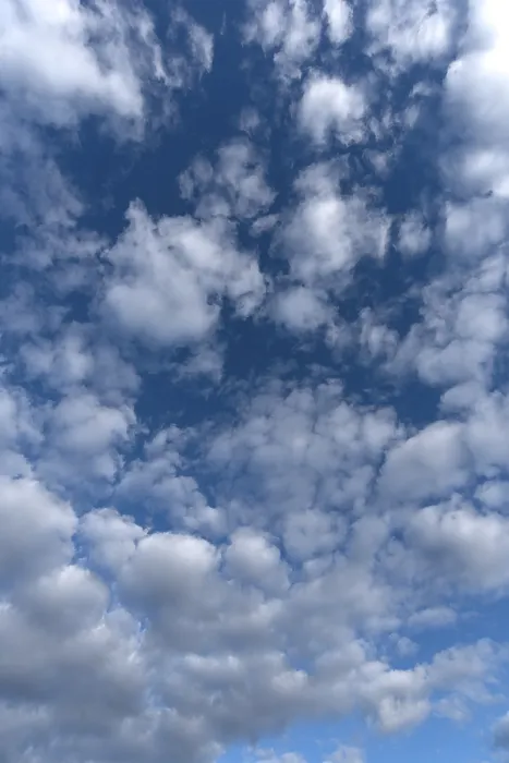Gerahmter Druck : Wolkenformationen am frühen Morgen. Gerahmter Druck : Wolkenformationen am frühen Morgen.
