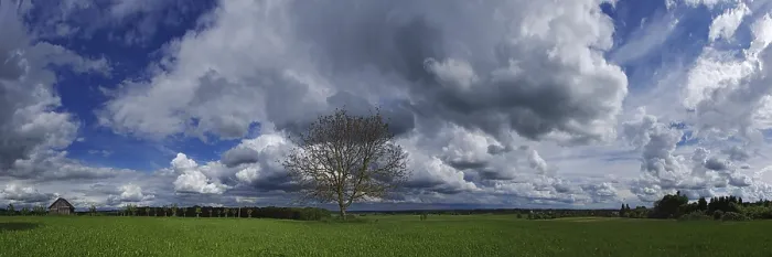 Gerahmter Druck : Wolkenformationen mit Baum. Gerahmter Druck : Wolkenformationen mit Baum.