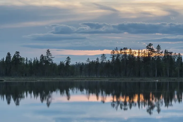 Gerahmter Druck : Wolkenreflex in einem Waldsee. Gerahmter Druck : Wolkenreflex in einem Waldsee.
