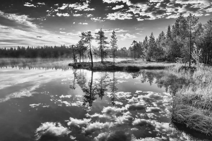 Gerahmter Druck : Wolkenreflex in einem Waldsee. Gerahmter Druck : Wolkenreflex in einem Waldsee.