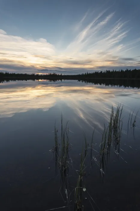 Gerahmter Druck : Wolkenreflex in einem Waldsee. Gerahmter Druck : Wolkenreflex in einem Waldsee.