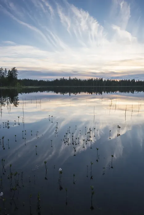 Gerahmter Druck : Wolkenreflex im Waldsee. Gerahmter Druck : Wolkenreflex im Waldsee.
