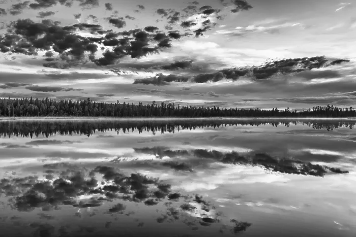 Gerahmter Druck : Wolkenreflex in einem Waldsee. Gerahmter Druck : Wolkenreflex in einem Waldsee.