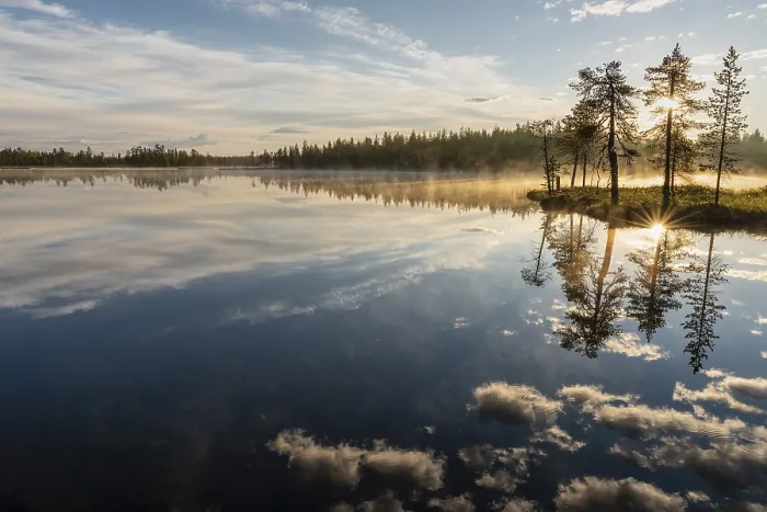 Gerahmter Druck : Wolkenreflex in einem Waldsee. Gerahmter Druck : Wolkenreflex in einem Waldsee.