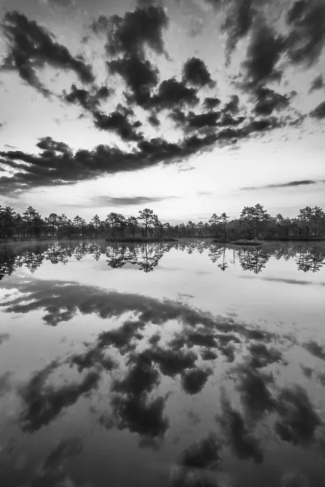 Gerahmter Druck : Wolkenreflex in einem Moorsee. Gerahmter Druck : Wolkenreflex in einem Moorsee.