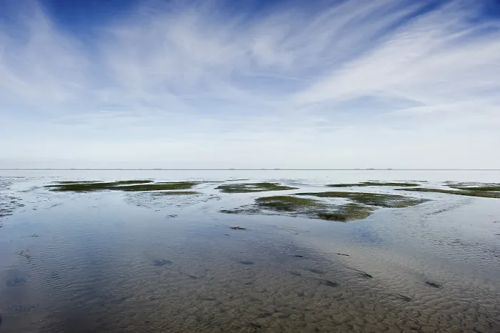 Gerahmter Druck : Wolkenreflexion auf den Matschflächen. Gerahmter Druck : Wolkenreflexion auf den Matschflächen.