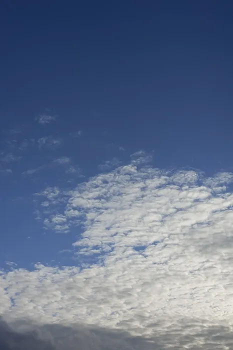 Gerahmter Druck : Cirrocumulus-Wolken Gerahmter Druck : Cirrocumulus-Wolken