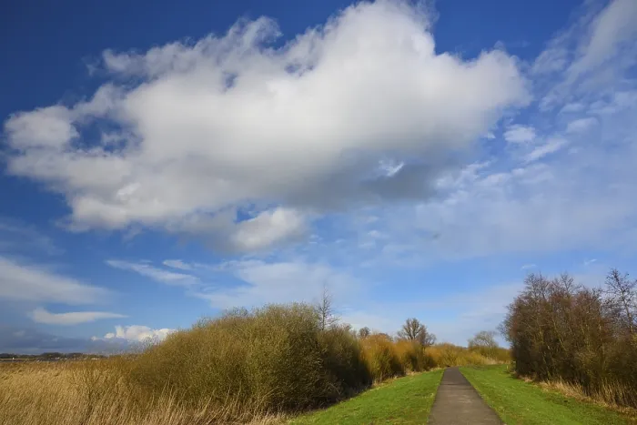 Gerahmter Druck : Wolken über dem Deich am Dummersee. Gerahmter Druck : Wolken über dem Deich am Dummersee.