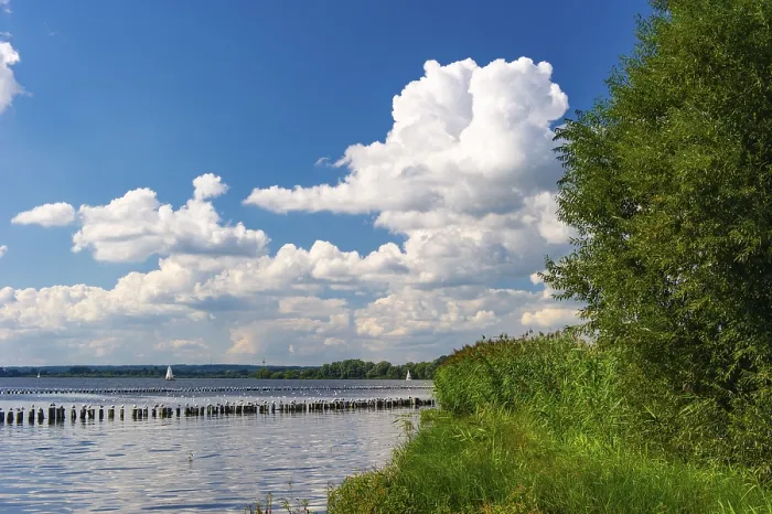 Gerahmter Druck : Wolken und Schilf am Dummersee. Gerahmter Druck : Wolken und Schilf am Dummersee.