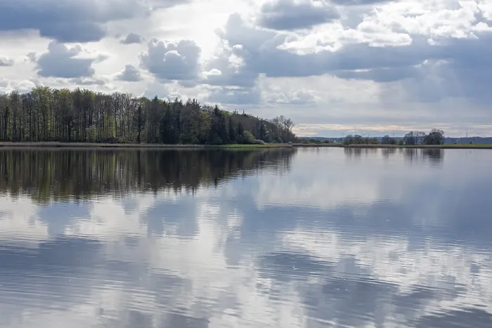 Gerahmter Druck : Wolken im Wasser, Bäume. Gerahmter Druck : Wolken im Wasser, Bäume.