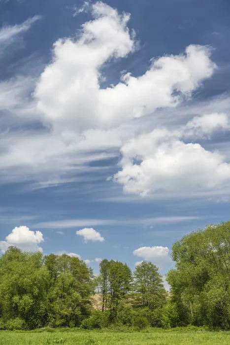 Gerahmter Druck : Wolkenhimmel über Baumreihe, Tharandt. Gerahmter Druck : Wolkenhimmel über Baumreihe, Tharandt.