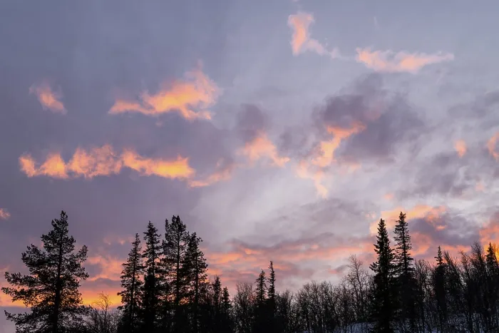 Gerahmter Druck : Wolkenhimmel über Bäumen, Gällivare. Gerahmter Druck : Wolkenhimmel über Bäumen, Gällivare.