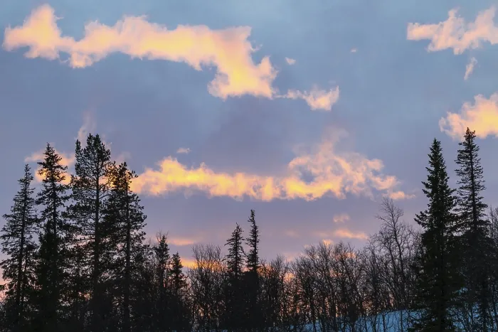 Gerahmter Druck : Wolkenhimmel über Bäumen, Gallivare. Gerahmter Druck : Wolkenhimmel über Bäumen, Gallivare.