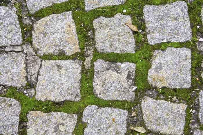 Gerahmter Druck : Cobbles Gerahmter Druck : Cobbles