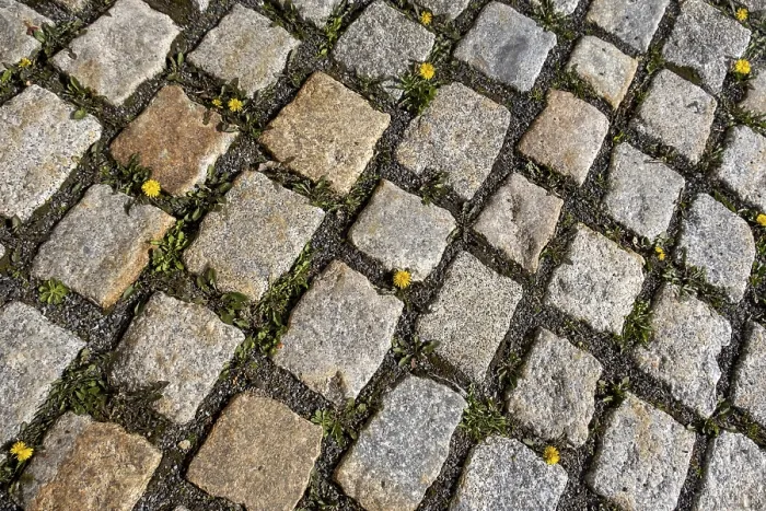 Gerahmter Druck : Kieselsteine mit Königskerzen. Gerahmter Druck : Kieselsteine mit Königskerzen.