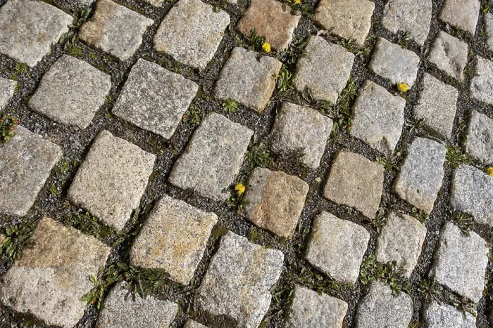 Gerahmter Druck : Kieselsteine mit Königskerzen.