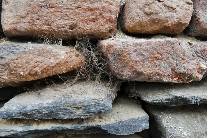 Gerahmter Druck : Spinnweben auf einer Steinmauer. Gerahmter Druck : Spinnweben auf einer Steinmauer.