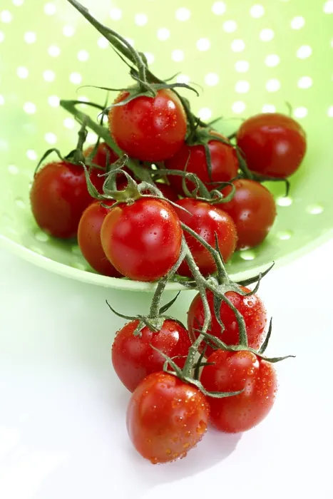 Gerahmter Druck : Cocktail-Tomaten und ein Sieb. Gerahmter Druck : Cocktail-Tomaten und ein Sieb.