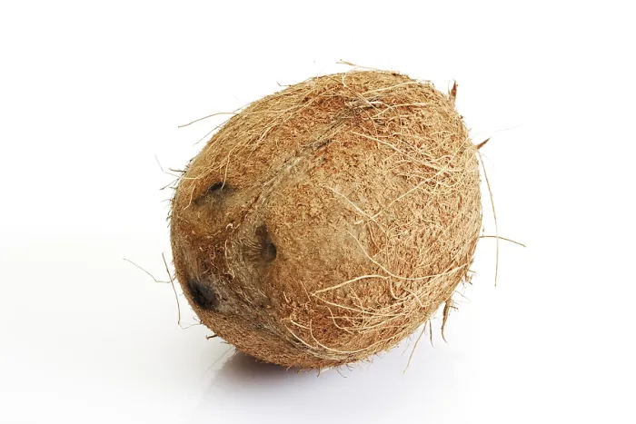 Gerahmter Druck : Coconut Gerahmter Druck : Coconut