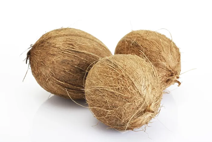Gerahmter Druck : Coconuts Gerahmter Druck : Coconuts