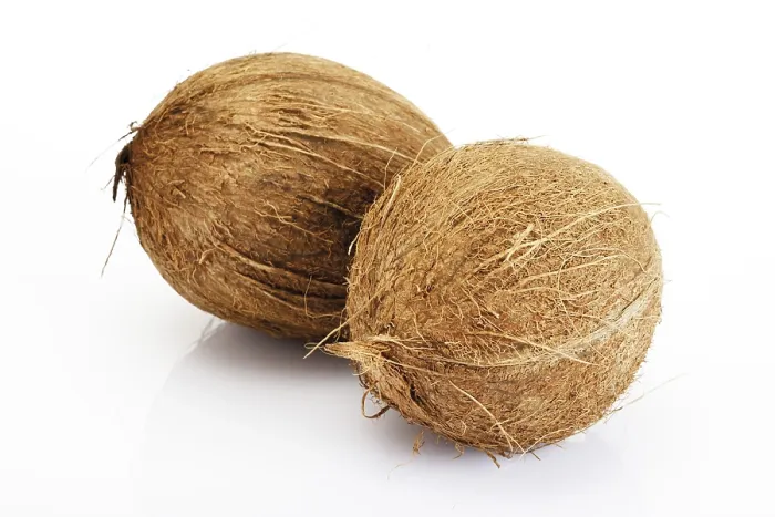 Gerahmter Druck : Coconuts Gerahmter Druck : Coconuts