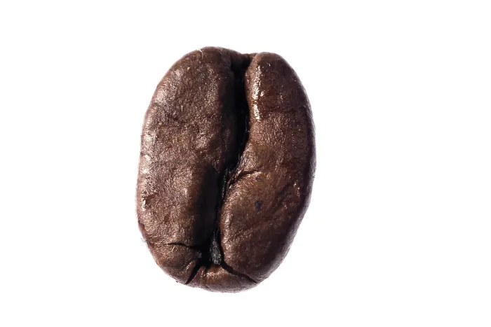 Gerahmter Druck : Kaffeebohne Gerahmter Druck : Kaffeebohne