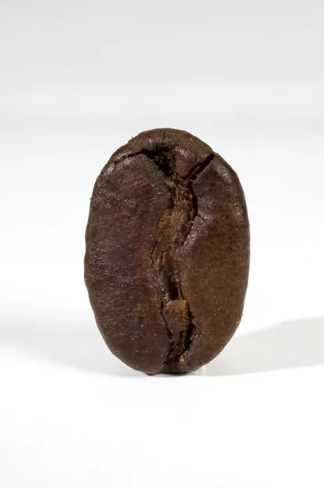 Gerahmter Druck : Kaffeebohne Gerahmter Druck : Kaffeebohne