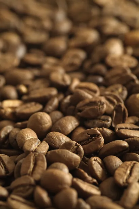 Gerahmter Druck : Kaffeebohnen Gerahmter Druck : Kaffeebohnen