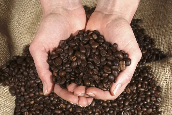 Gerahmter Druck : Kaffeebohnen Gerahmter Druck : Kaffeebohnen
