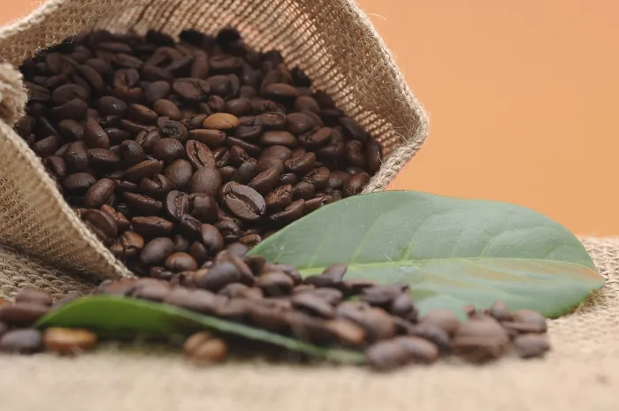 Gerahmter Druck : Kaffeebohnen in einer Jutesack. Gerahmter Druck : Kaffeebohnen in einer Jutesack.