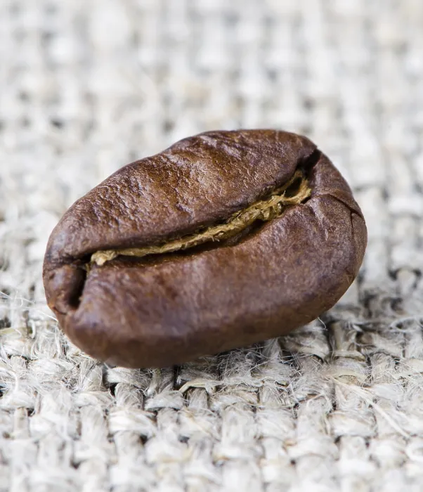 Gerahmter Druck : Kaffeebohnen auf einem rauhen Tuch. Gerahmter Druck : Kaffeebohnen auf einem rauhen Tuch.